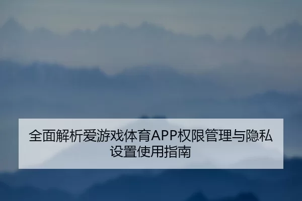 全面解析爱游戏体育APP权限管理与隐私设置使用指南